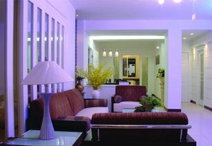 客廳 產(chǎn)品展示 盛海裝飾 人人裝修網(wǎng)